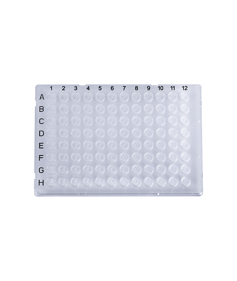 PCR20-C-96-FS-BC 0,2 ml piastra per PCR full skirt trasparente a 96 pozzetti