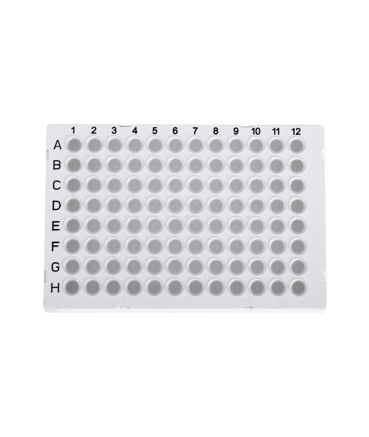 PCR20-C-96-FS-BR 0,2 ml piastra per PCR a pannello intero trasparente a 96 pozzetti per Biorad
