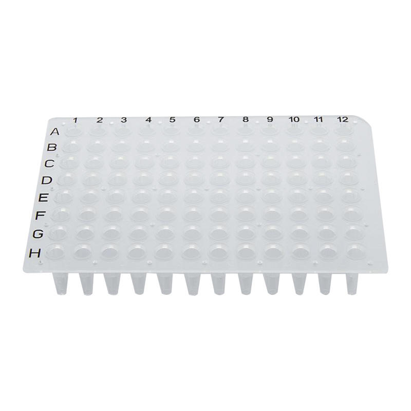 Cos'è una piastra PCR a 96 pozzetti?